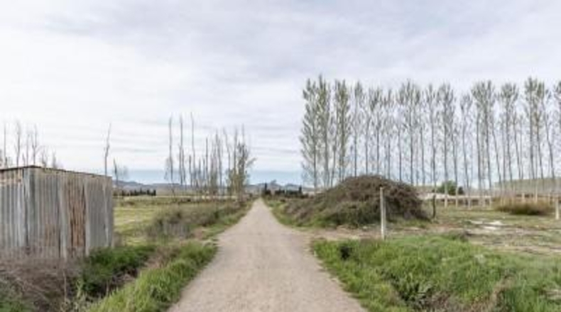 Гранада - Fuente Vaqueros - 1585m2