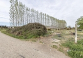 Terreno no urbanizable en venta en la España, Fuente Vaqueros, ref: TR316821 foto