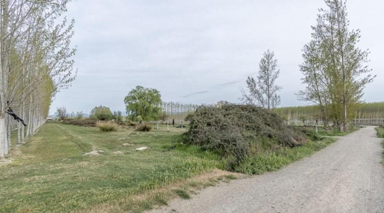 Гранада - Fuente Vaqueros - 1585m2