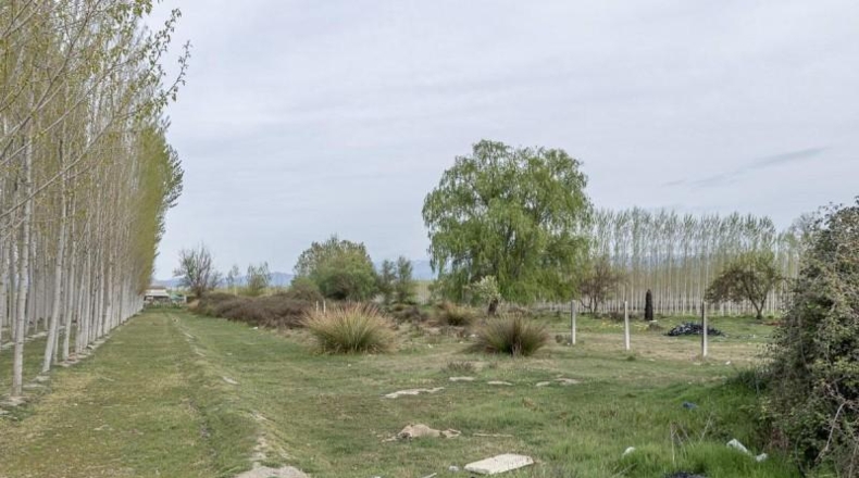 Гранада - Fuente Vaqueros - 1585m2