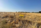 Terreno no urbanizable en venta en la España, Malpartida de Cáceres, ref: TR268938 foto