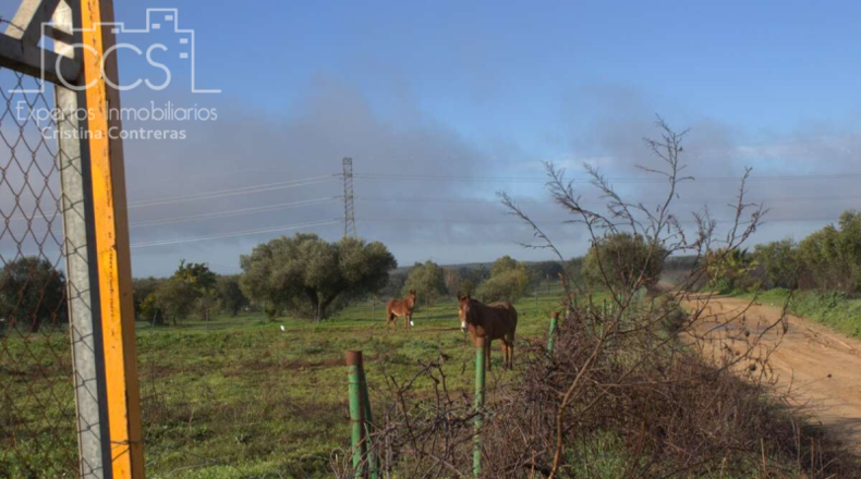 Huelva - Almonte - 17000m2