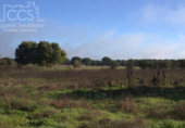 Terreno no urbanizable en venta en la España, Almonte, ref: TR379067 foto