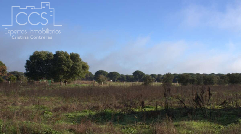 Huelva - Almonte - 17000m2