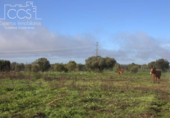Terreno no urbanizable en venta en la España, Almonte, ref: TR379067 foto
