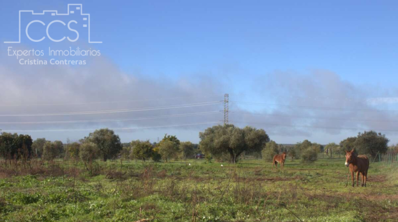 Huelva - Almonte - 17000m2