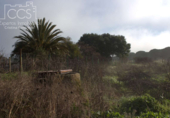 Terreno no urbanizable en venta en la España, Almonte, ref: TR379067 foto