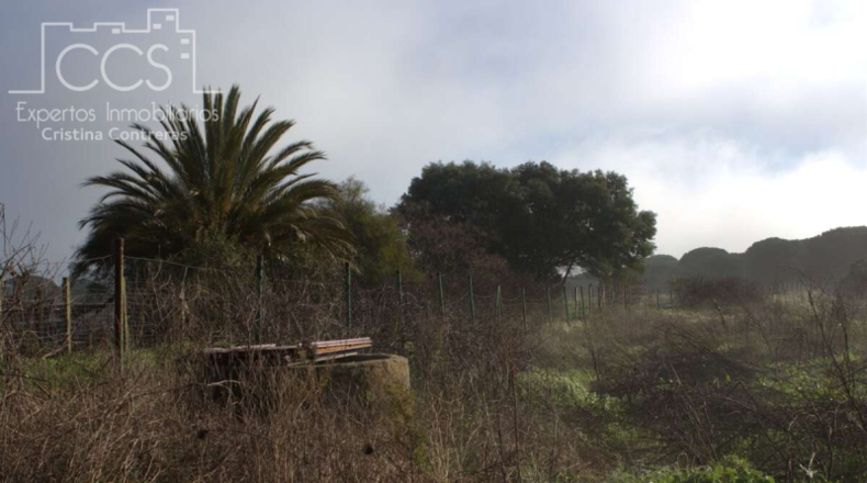 Huelva - Almonte - 17000m2