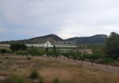 Terreno no urbanizable en venta en la España, Monóvar, ref: TR113592 foto