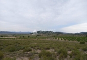 Terreno no urbanizable en venta en la España, Monóvar, ref: TR113592 foto