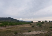 Terreno no urbanizable en venta en la España, Monóvar, ref: TR113592 foto