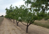 Terreno no urbanizable en venta en la España, Monóvar, ref: TR113592 foto