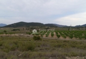 Terreno no urbanizable en venta en la España, Monóvar, ref: TR113592 foto
