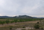 Terreno no urbanizable en venta en la España, Monóvar, ref: TR113592 foto
