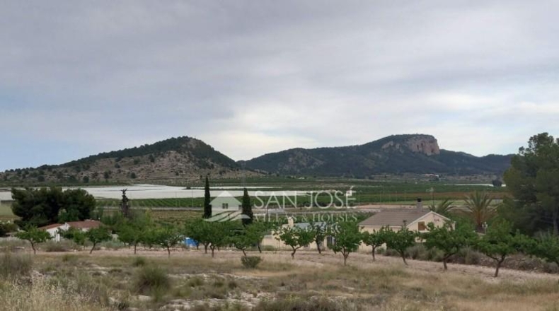 Alicante - Monóvar - 7108m2