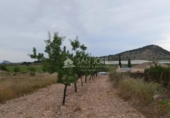 Terreno no urbanizable en venta en la España, Monóvar, ref: TR113592 foto