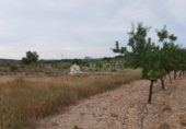 Terreno no urbanizable en venta en la España, Monóvar, ref: TR113592 foto