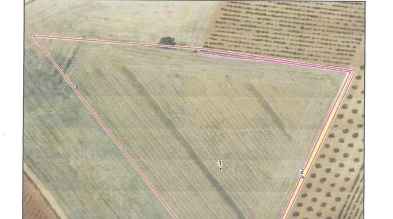 Albacete - Chinchilla de Montearagón - 17050m2