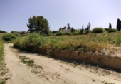 Non-developable land for sale on España, Calasparra, ref: TR248167 photo