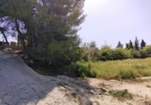 Non-developable land for sale on España, Calasparra, ref: TR248167 photo