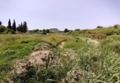 Non-developable land for sale on España, Calasparra, ref: TR248167 photo