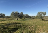 Terreno no urbanizable en venta en la España, Bollullos Par del Condado, ref: TR380787 foto