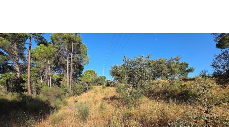 Huelva - Villablanca - 3306m2