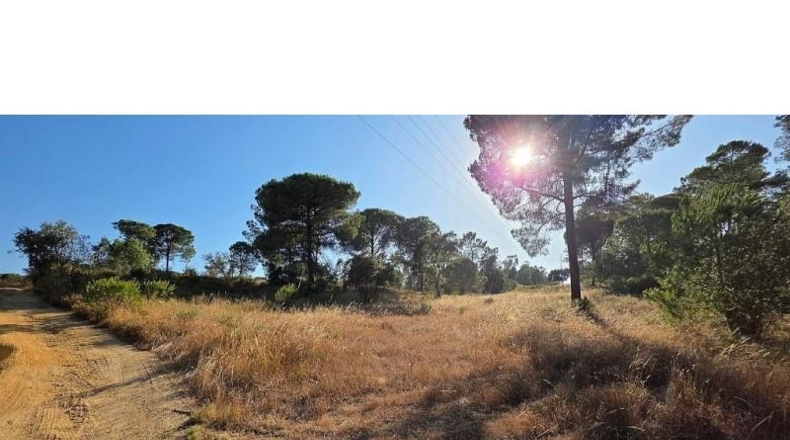 Huelva - Villablanca - 3306m2