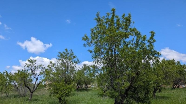 Cáceres - Бельвис-де-Монрой - 1596m2
