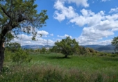 Xalet independent amb terreny en venda a la España, Montroig, ref.: TR302242 foto