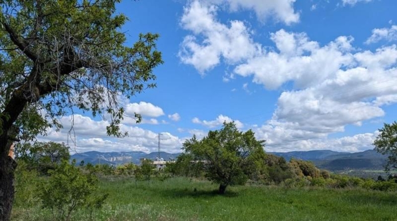 Cáceres - Бельвис-де-Монрой - 1596m2