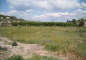 Terreno no urbanizable en venta en la España, Calasparra, ref: TR119425 foto