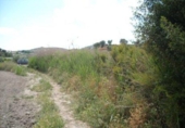 Terreno no urbanizable en venta en la España, Calasparra, ref: TR119425 foto