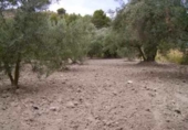 Земля на продажу у города Calasparra Фото