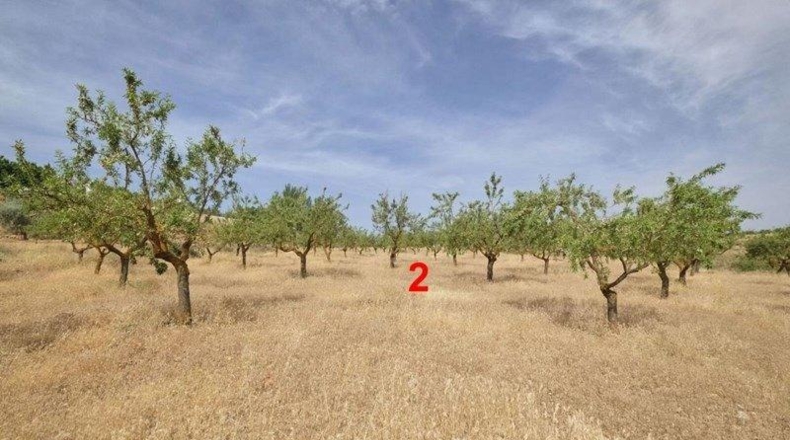 Granada - Padul - 8148m2