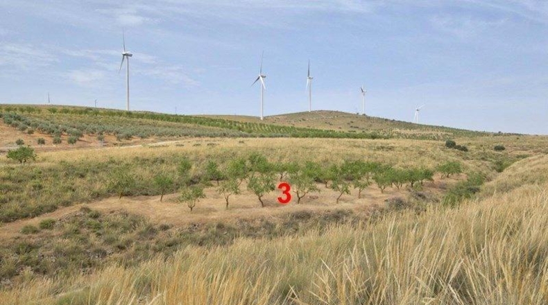 Granada - Padul - 8148m2