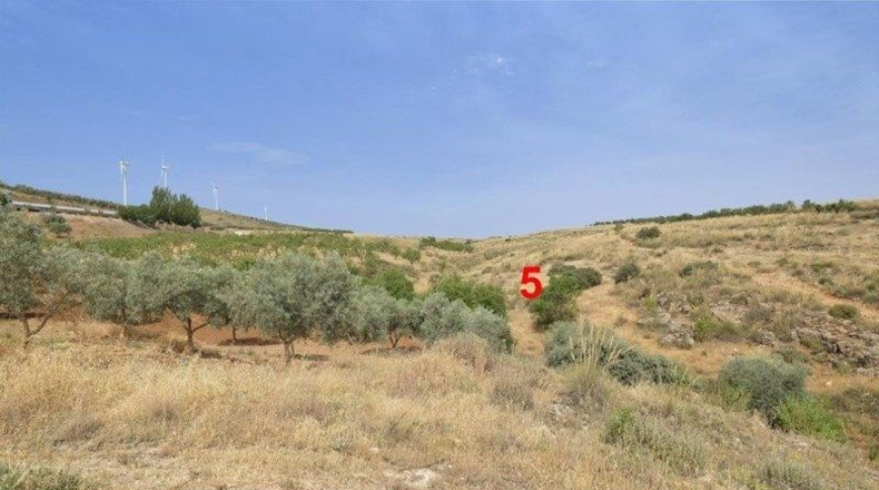 Granada - Padul - 8148m2