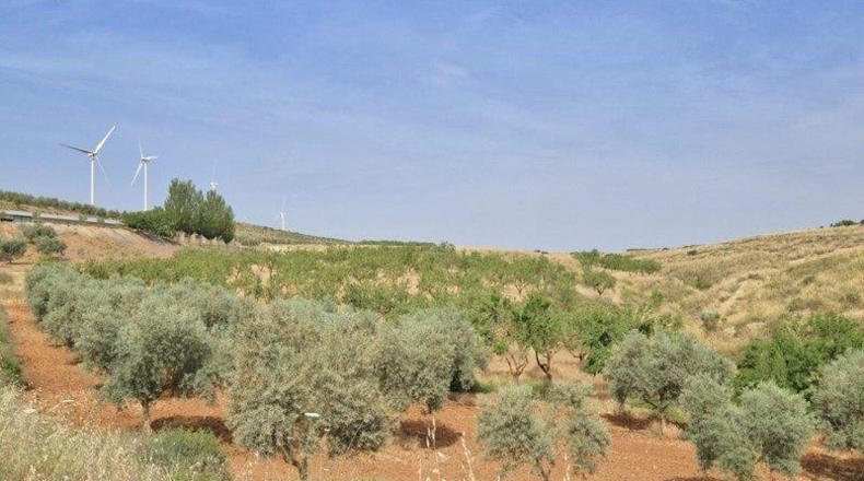Granada - Padul - 8148m2