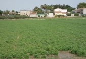 Terreno no urbanizable en venta en la España, Alguazas, ref: TR118106 foto