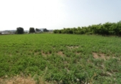 Terreno no urbanizable en venta en la España, Alguazas, ref: TR118106 foto