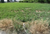 Terreno no urbanizable en venta en la España, Alguazas, ref: TR118106 foto