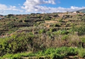Terreno no urbanizable en venta en la España, Fasnia, ref: TR376597 foto