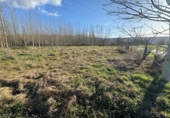Terreno no urbanizable en venta en la España, Ponferrada, ref: TR128382 foto