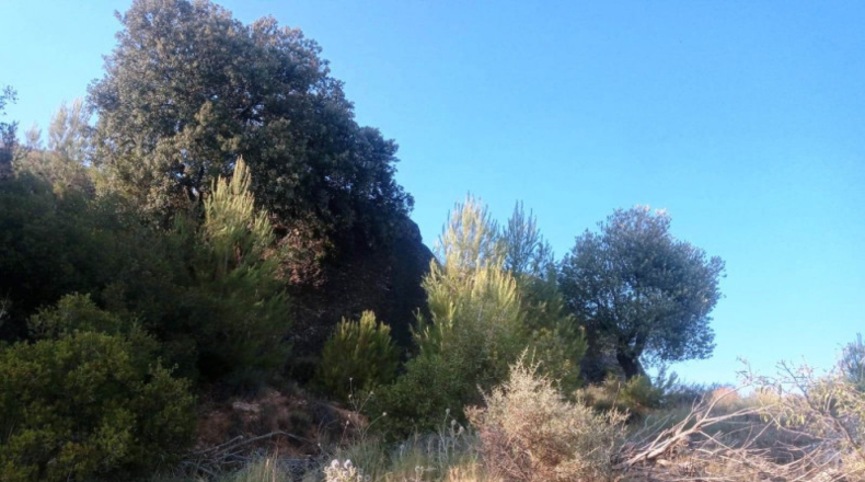 Cáceres - Belvís de Monroy - 39552m2