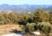 Non-developable land for sale on España, Monroyo, ref: TR323644 photo