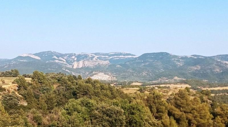 Cáceres - Belvís de Monroy - 39552m2