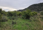 Terreno no urbanizable en venta en la España, Rafelcofer, ref: TR381756 foto