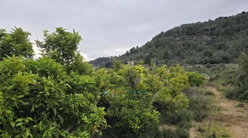 Valencia - Rafelcofer - 2480m2