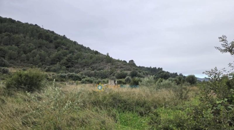 Valencia - Rafelcofer - 2480m2