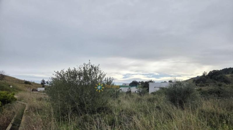 Valencia - Rafelcofer - 2480m2